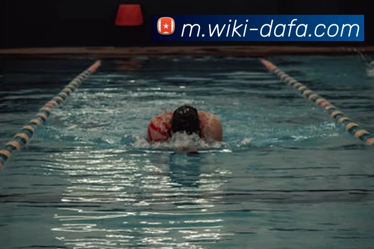 大发彩票平台生态图