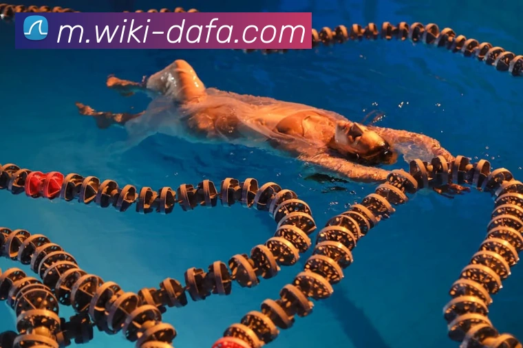 大发彩票全站App